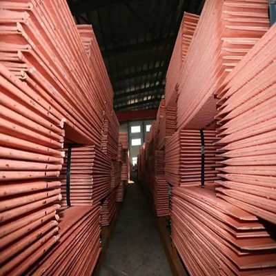 Листовые меди листа медной плиты C200 C11000 твердые 2mm 3mm 4mm